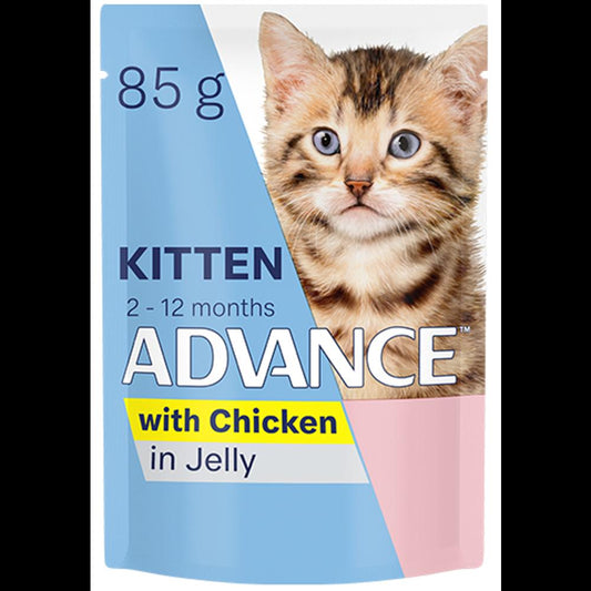 Advance Kitten Chicken in Jelly Wet Cat Food