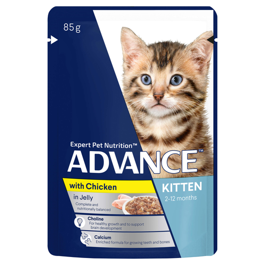 Advance Kitten Chicken in Jelly Wet Cat Food