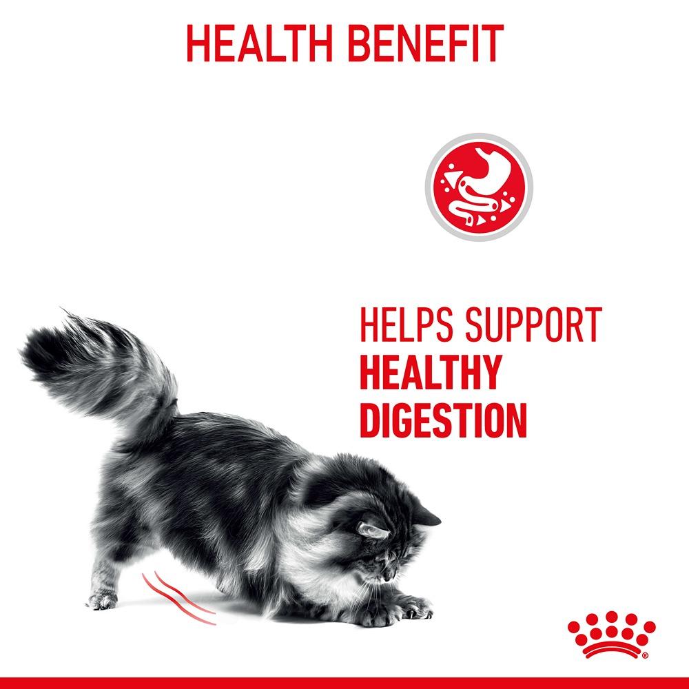 Royal Canin Digestive Care Loaf Adult Cat Wet Food Pouches