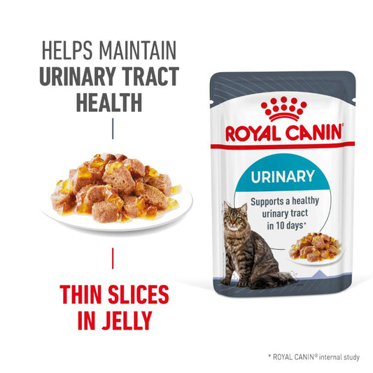 Royal Canin Urinary Care Jelly Adult Wet Cat Food Pouches