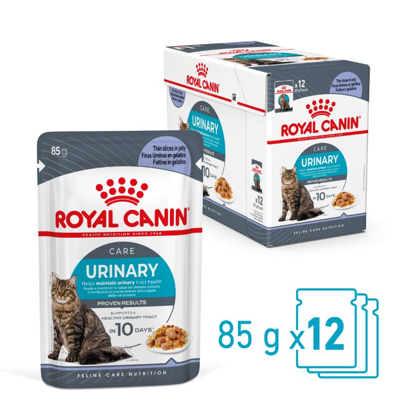 Royal Canin Urinary Care Jelly Adult Wet Cat Food Pouches