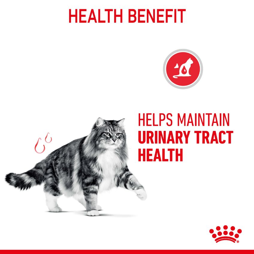 Royal Canin Urinary Care Jelly Adult Wet Cat Food Pouches