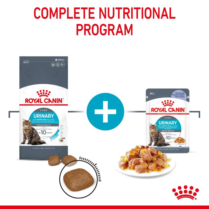 Royal Canin Urinary Care Jelly Adult Wet Cat Food Pouches