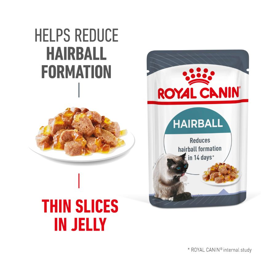 Royal Canin Hairball Care Jelly Adult Wet Cat Food Pouches
