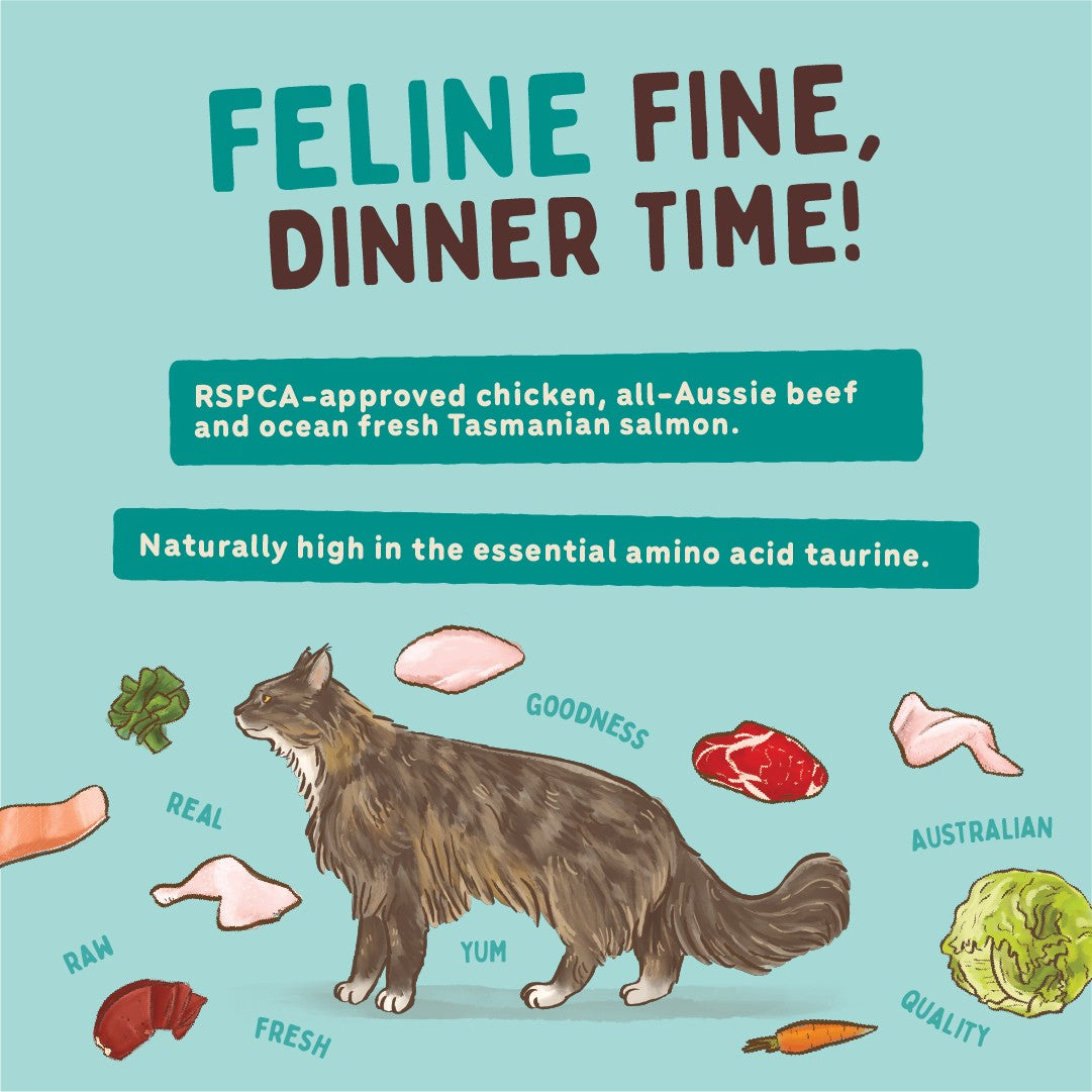 Big Dog BARF Chicken Raw Cat Food