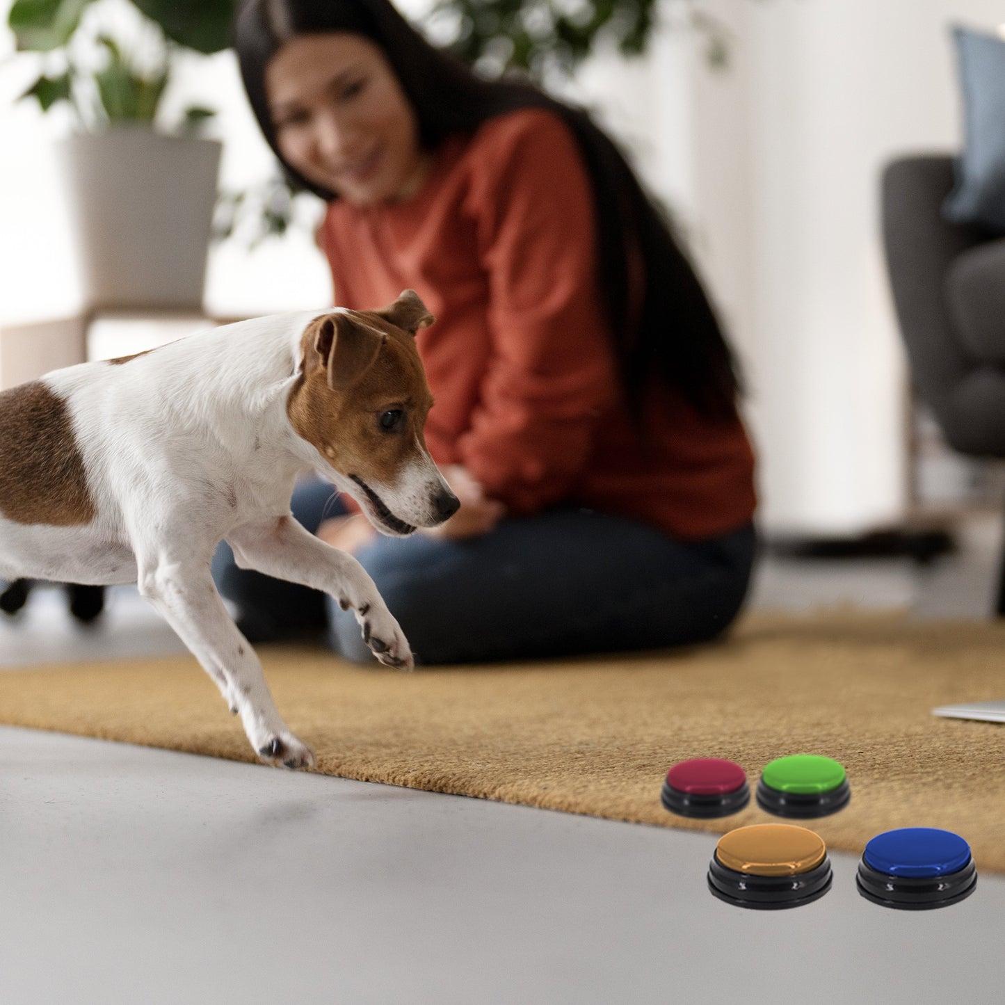Tech 4 Pets Talk & Communicate Buttons 4 Pack