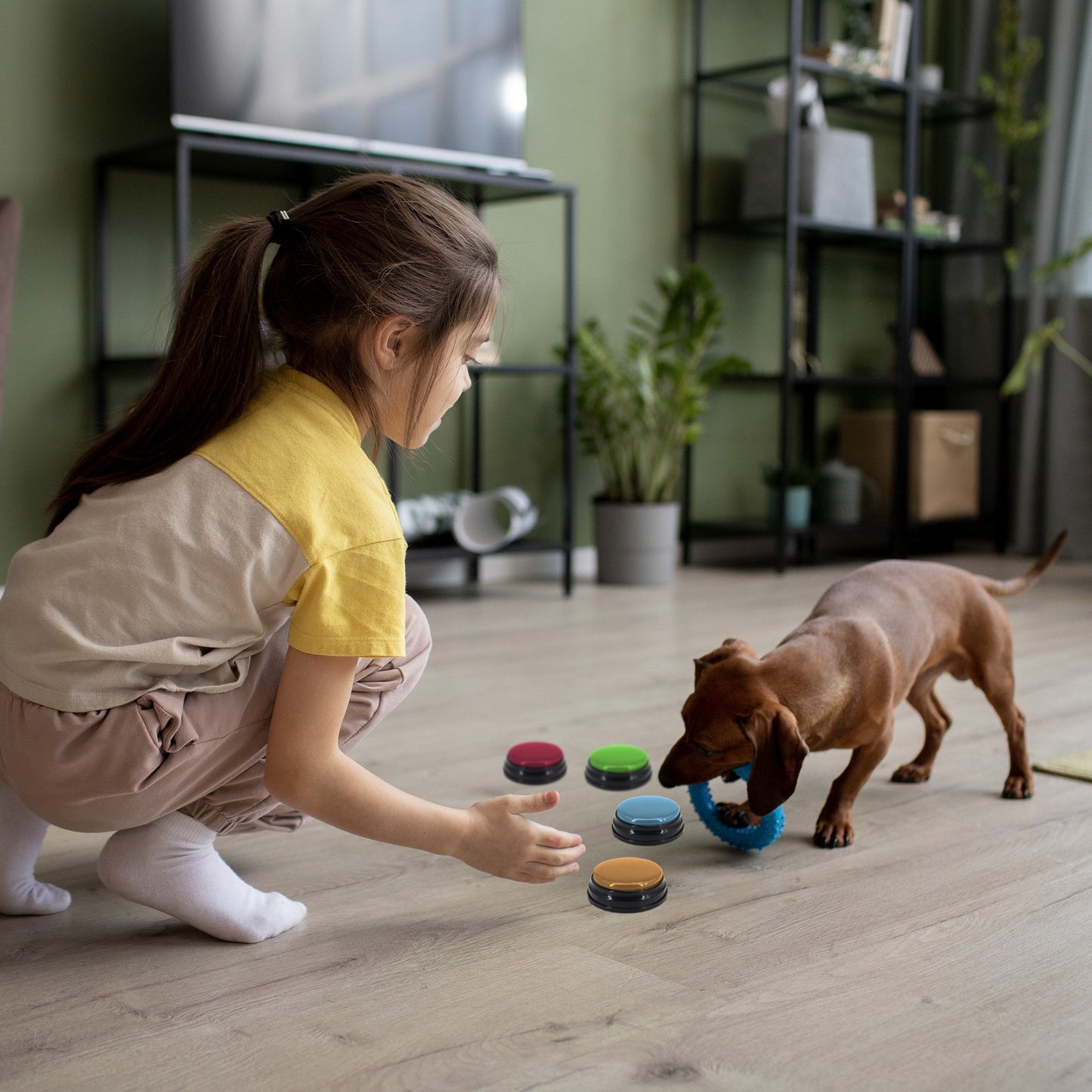 Tech 4 Pets Talk & Communicate Buttons 4 Pack