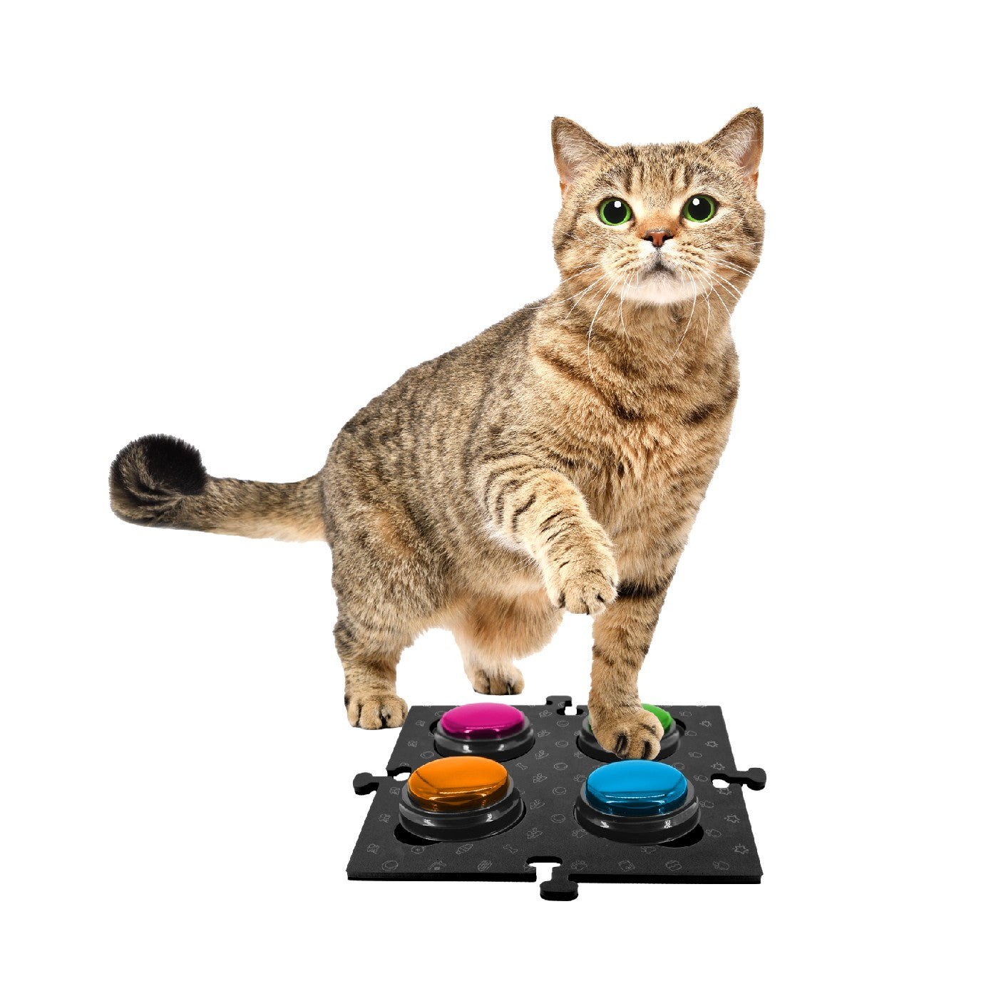 Tech 4 Pets Talk & Communicate Button Mat 2 Pack
