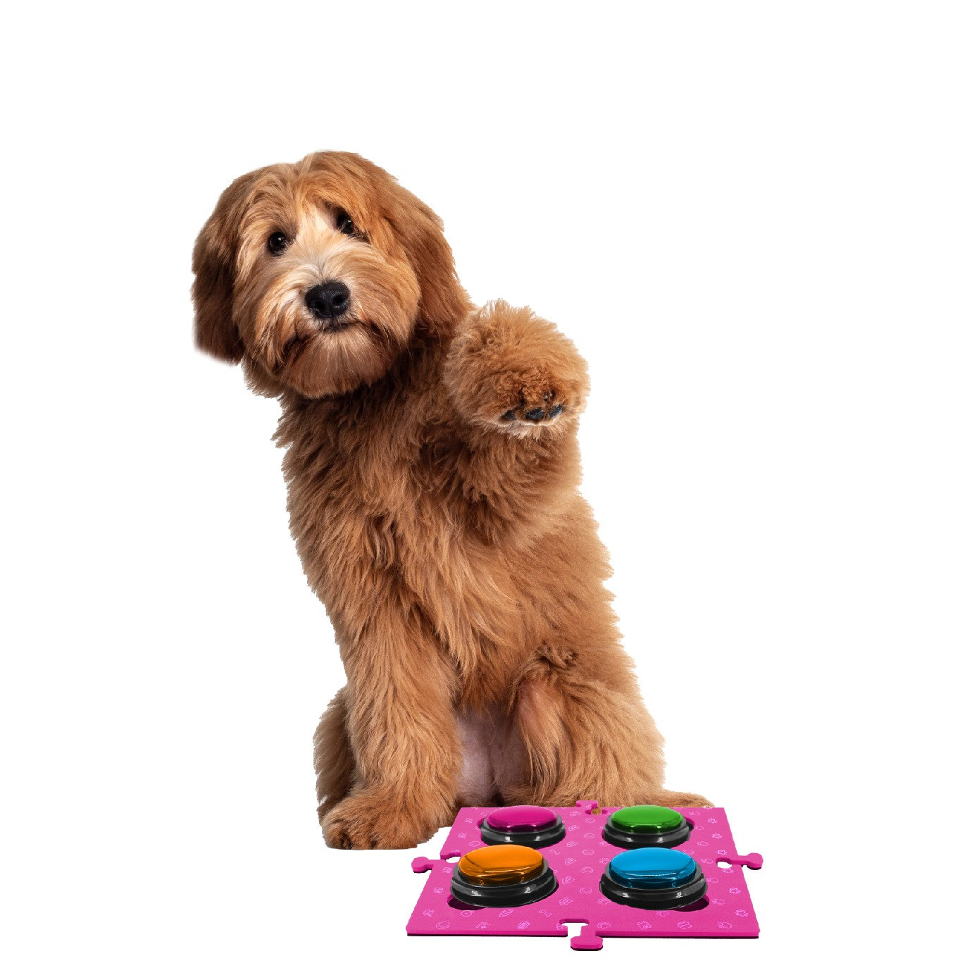Tech 4 Pets Talk & Communicate Button Mat 2 Pack