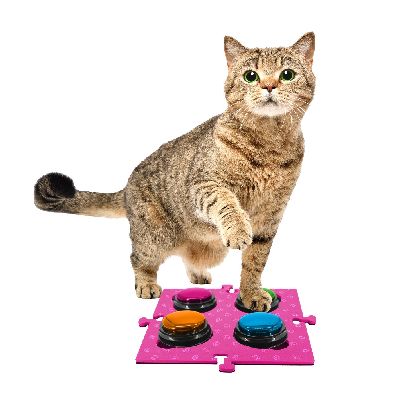 Tech 4 Pets Talk & Communicate Button Mat 2 Pack