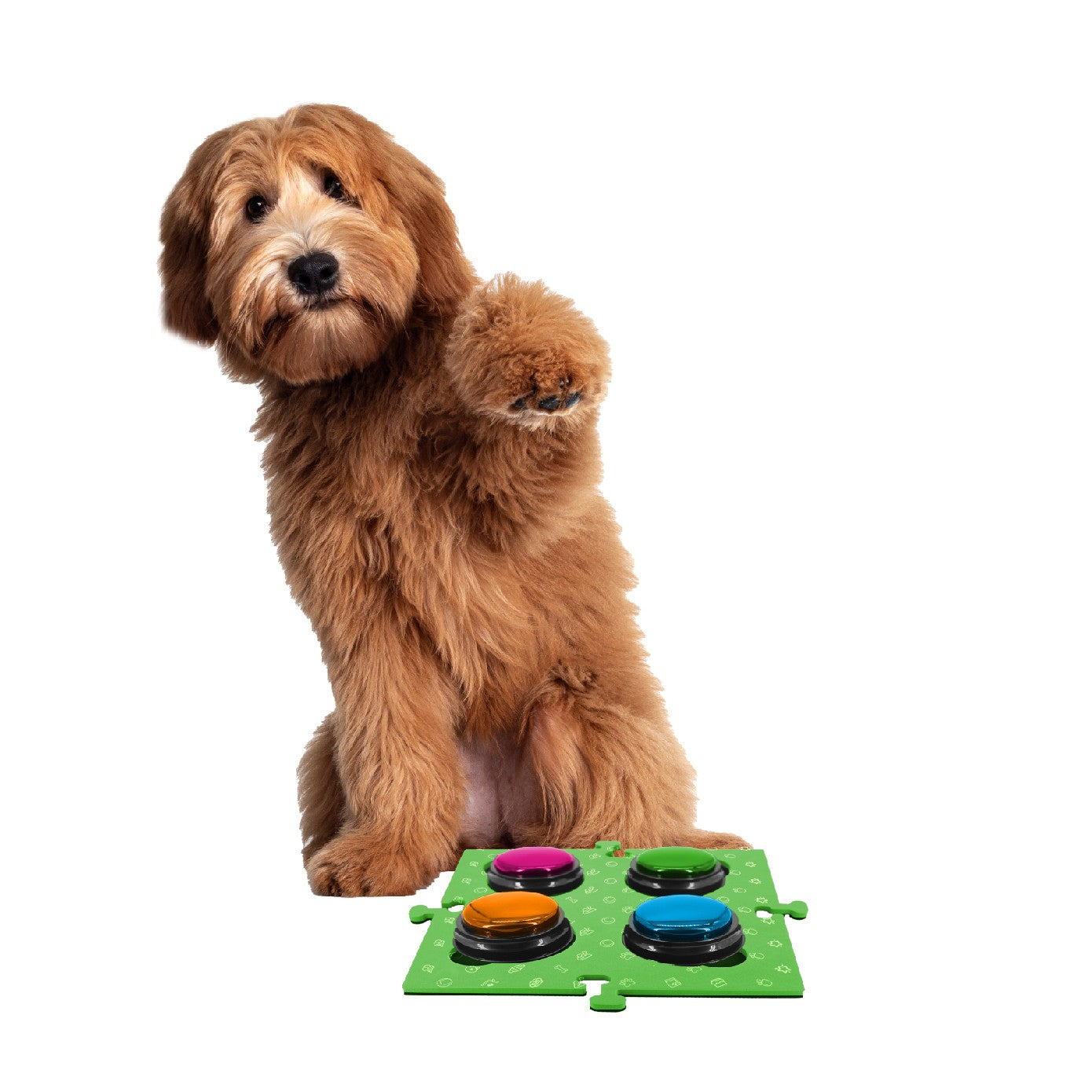 Tech 4 Pets Talk & Communicate Button Mat 2 Pack
