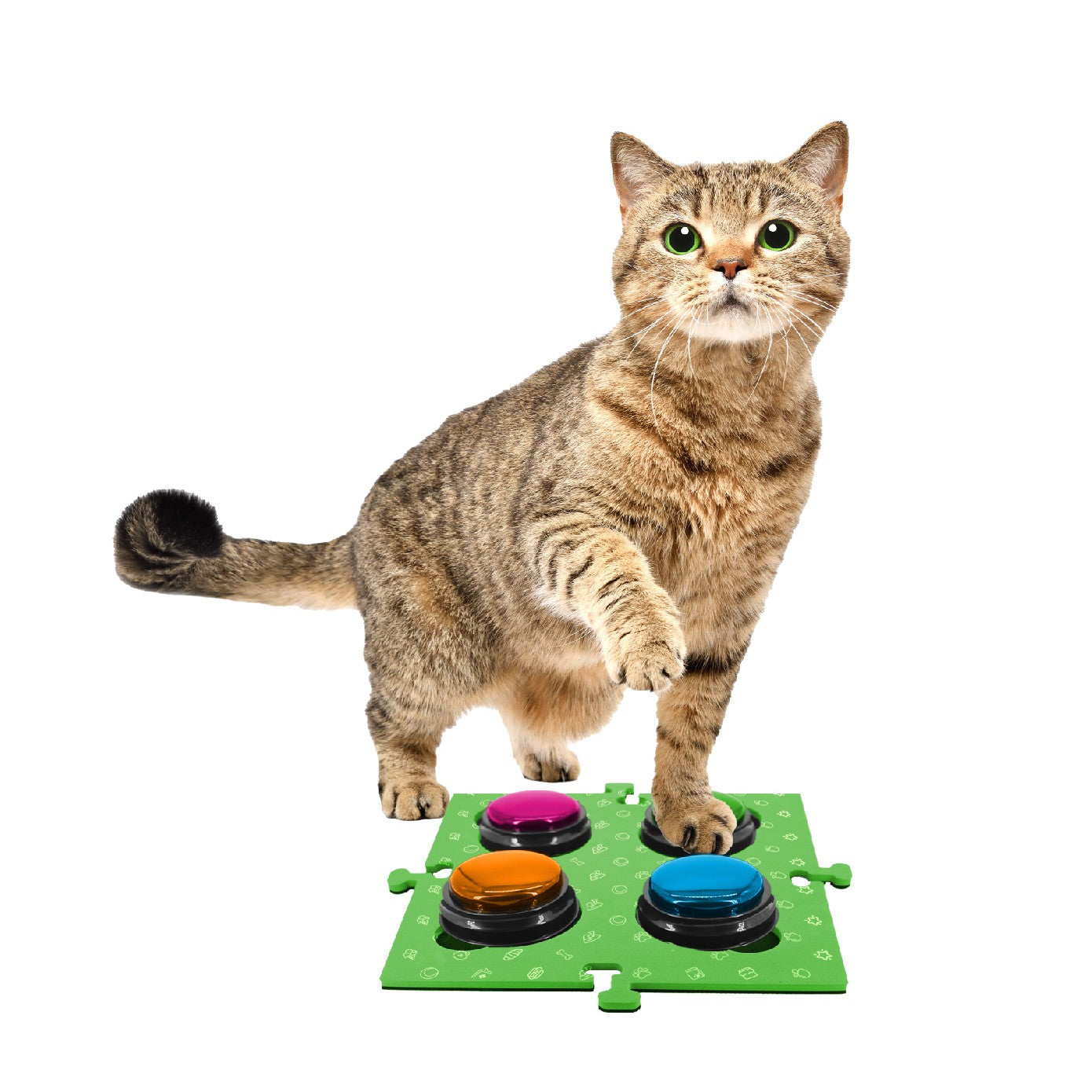 Tech 4 Pets Talk & Communicate Button Mat 2 Pack