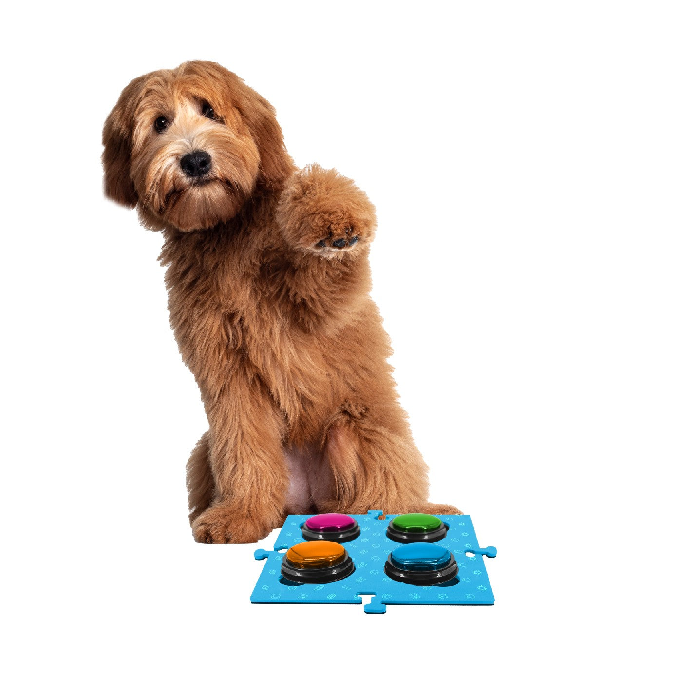 Tech 4 Pets Talk & Communicate Button Mat 2 Pack
