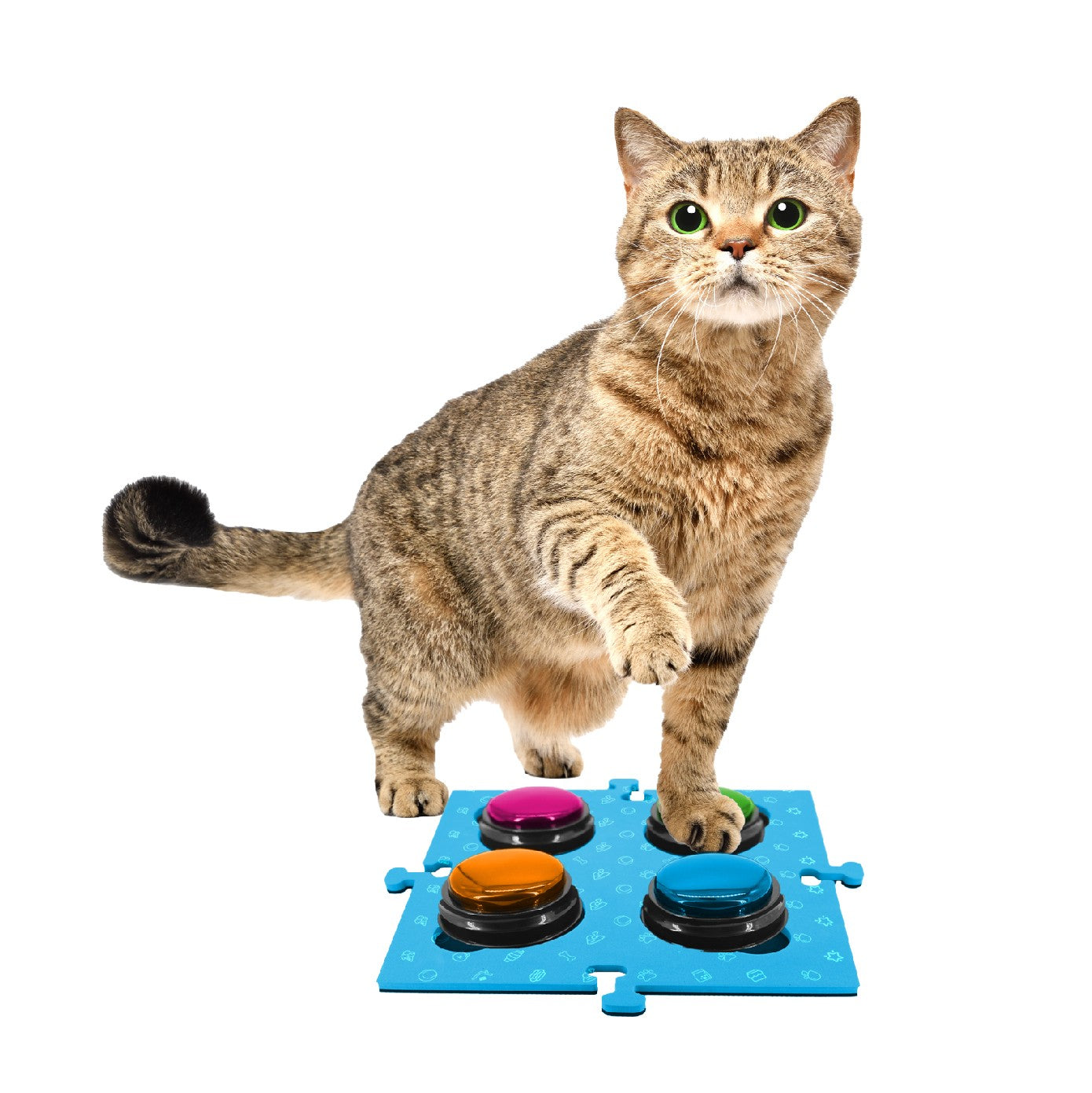 Tech 4 Pets Talk & Communicate Button Mat 2 Pack