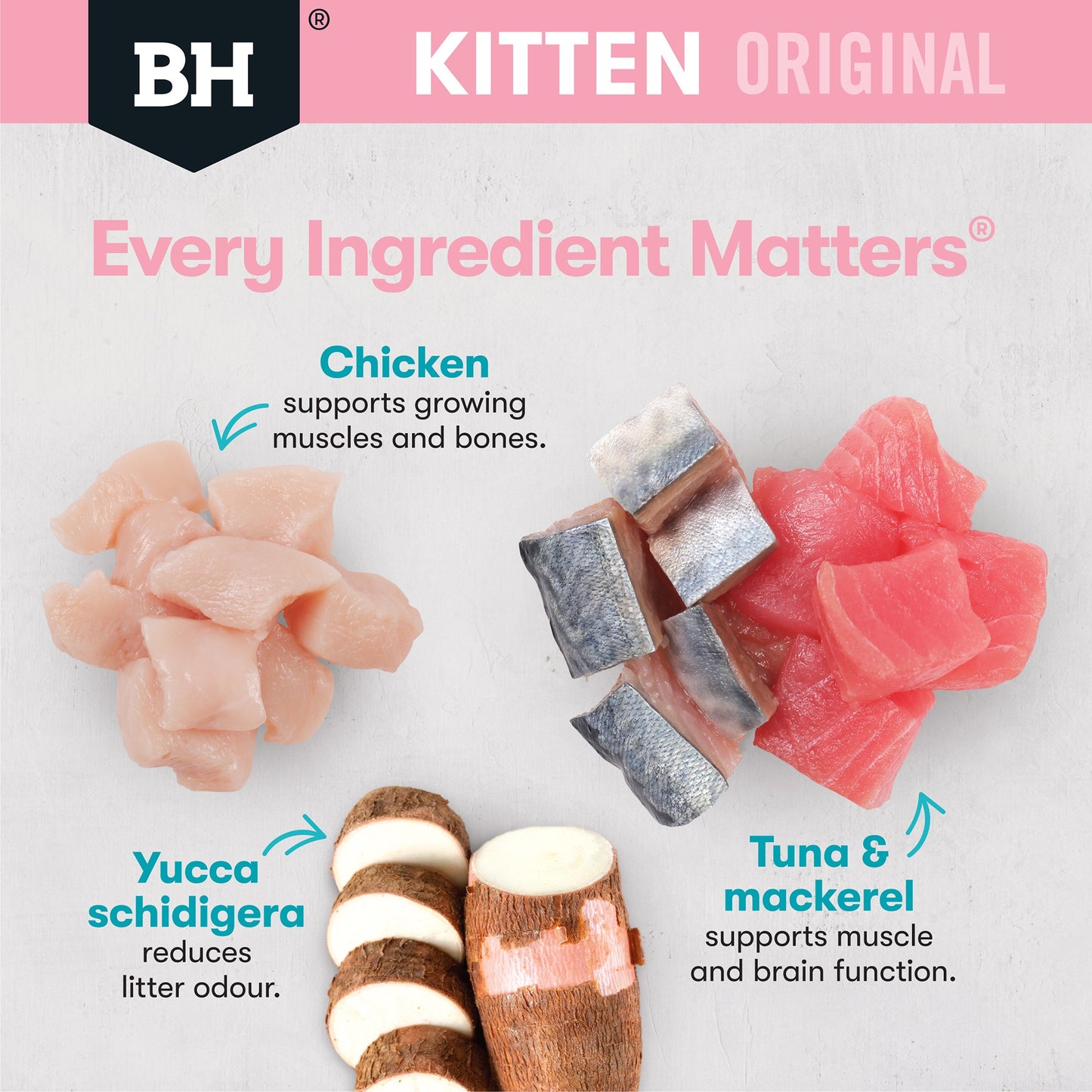 Black Hawk Original Kitten Food Chicken Oceanfish in Gravy