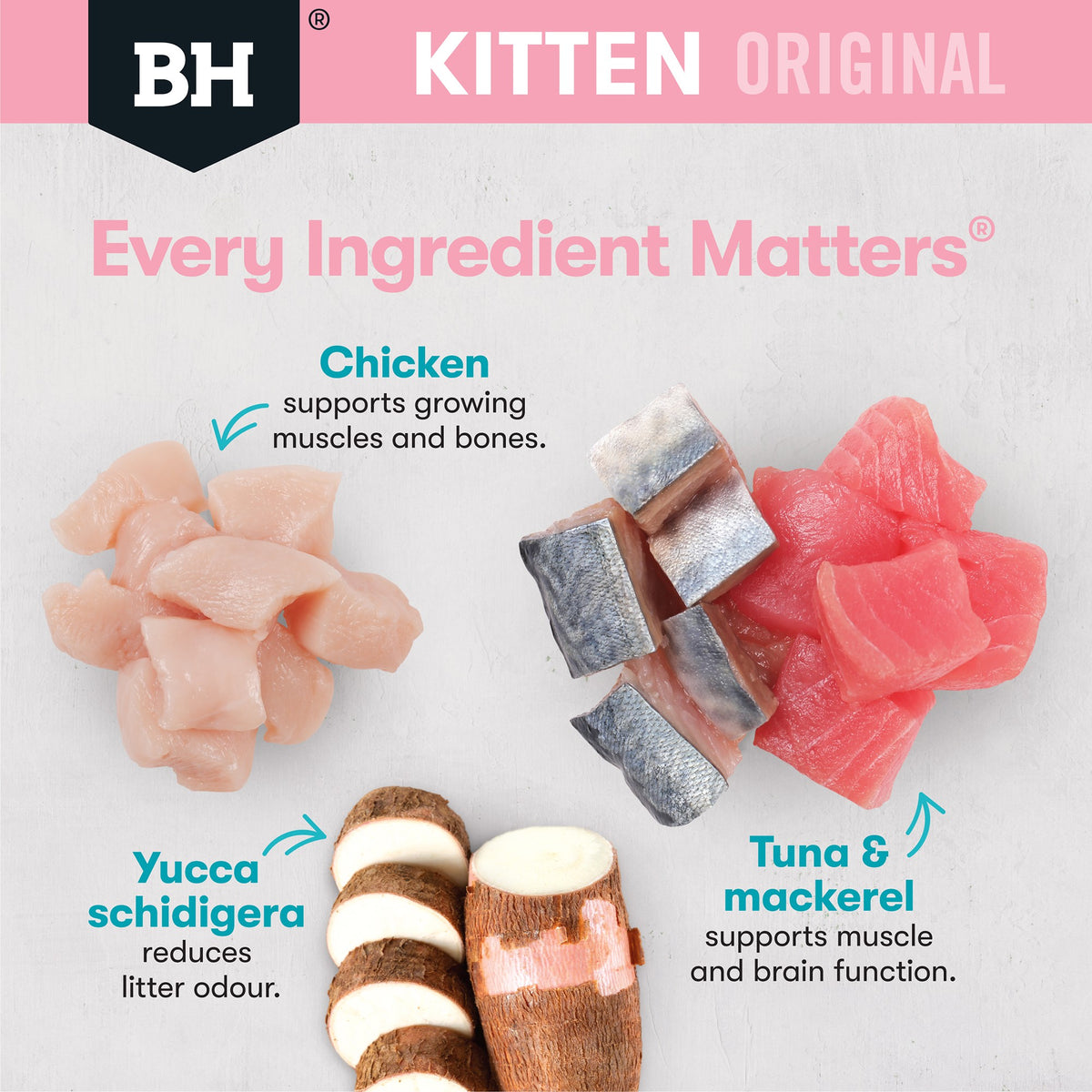 Black Hawk Original Kitten Food Chicken Oceanfish in Gravy