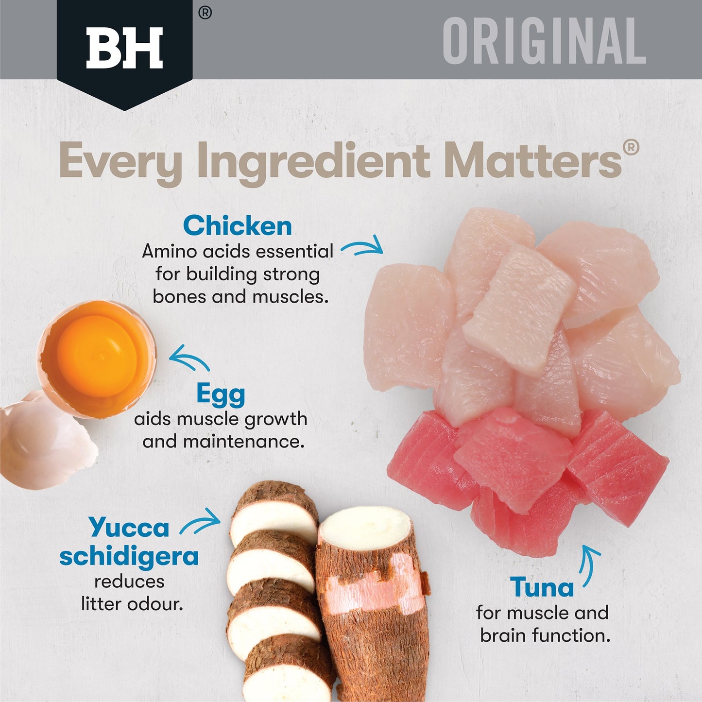 Black Hawk Original Chicken Seafood in Gravy Wet Cat Food