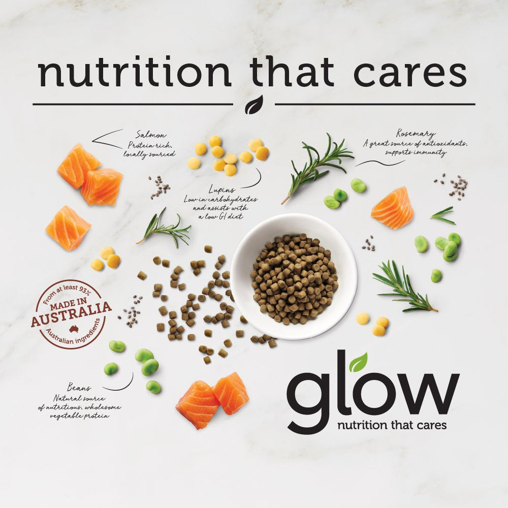 Glow Australian Salmon Adult Dry Dog Food