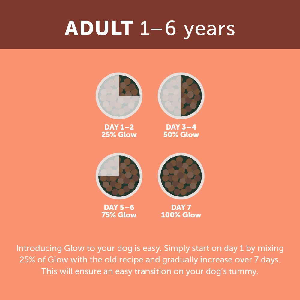 Glow Australian Salmon Adult Dry Dog Food