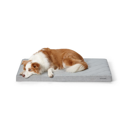 Snooza Cooling Orthobed Orthopaedic Dog Bed