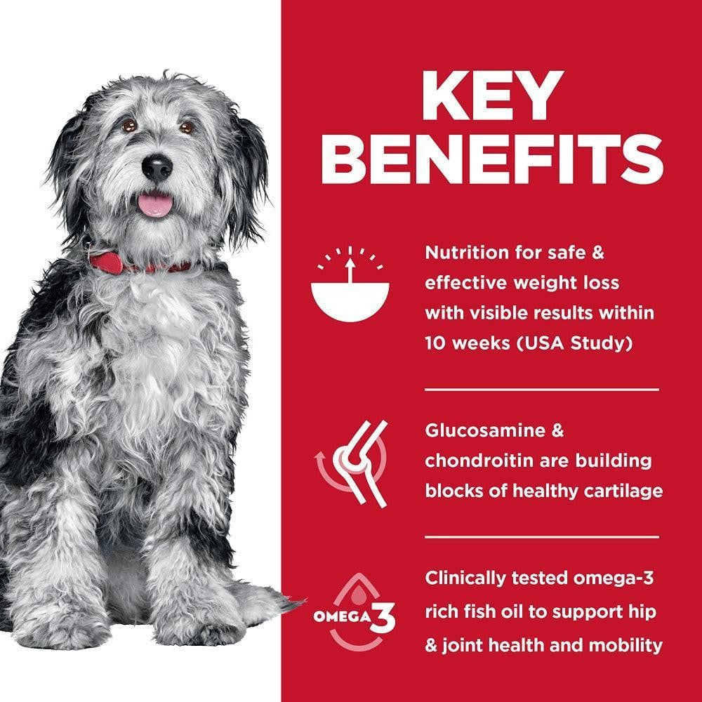 Hill’s Science Diet Perfect Weight + Joint Support Adult Dry Dog Food