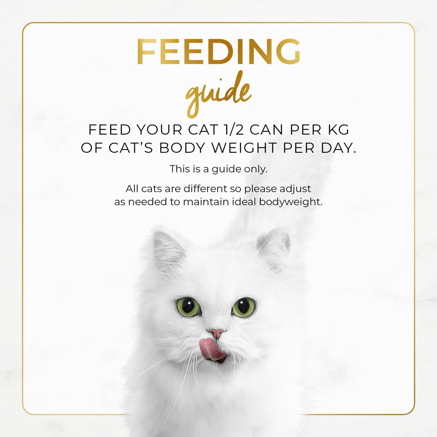 Fancy Feast Classic Senior Chicken Wet Cat Food