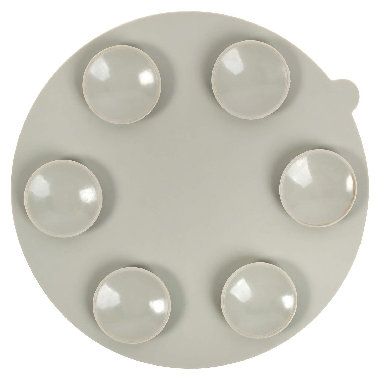 Buddy & Belle Slow Feeder Dog Bowl Insert