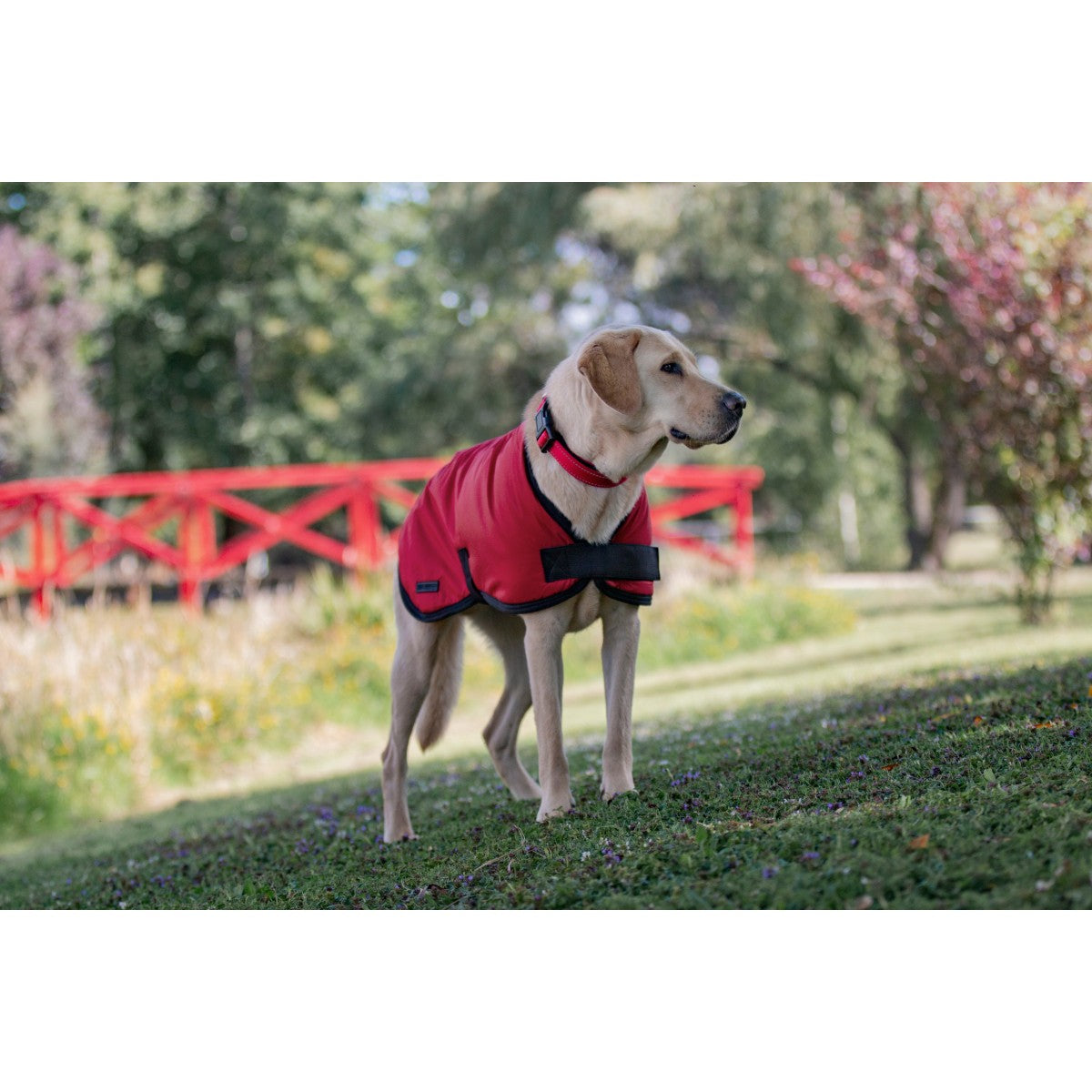 Ruff n Rugged Utility Dog Coat Red