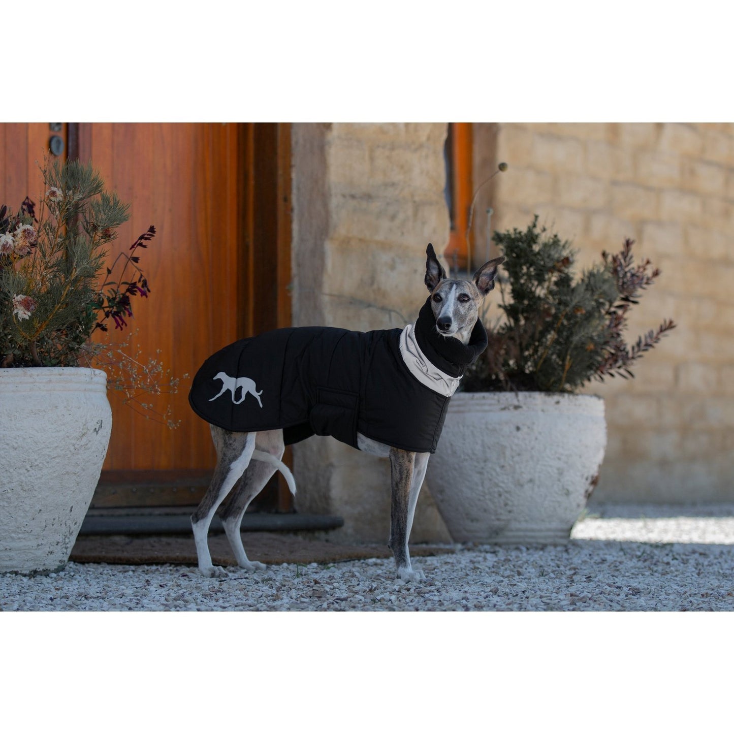 Wriggley Diggley Dog Barker Parker Jacket Black