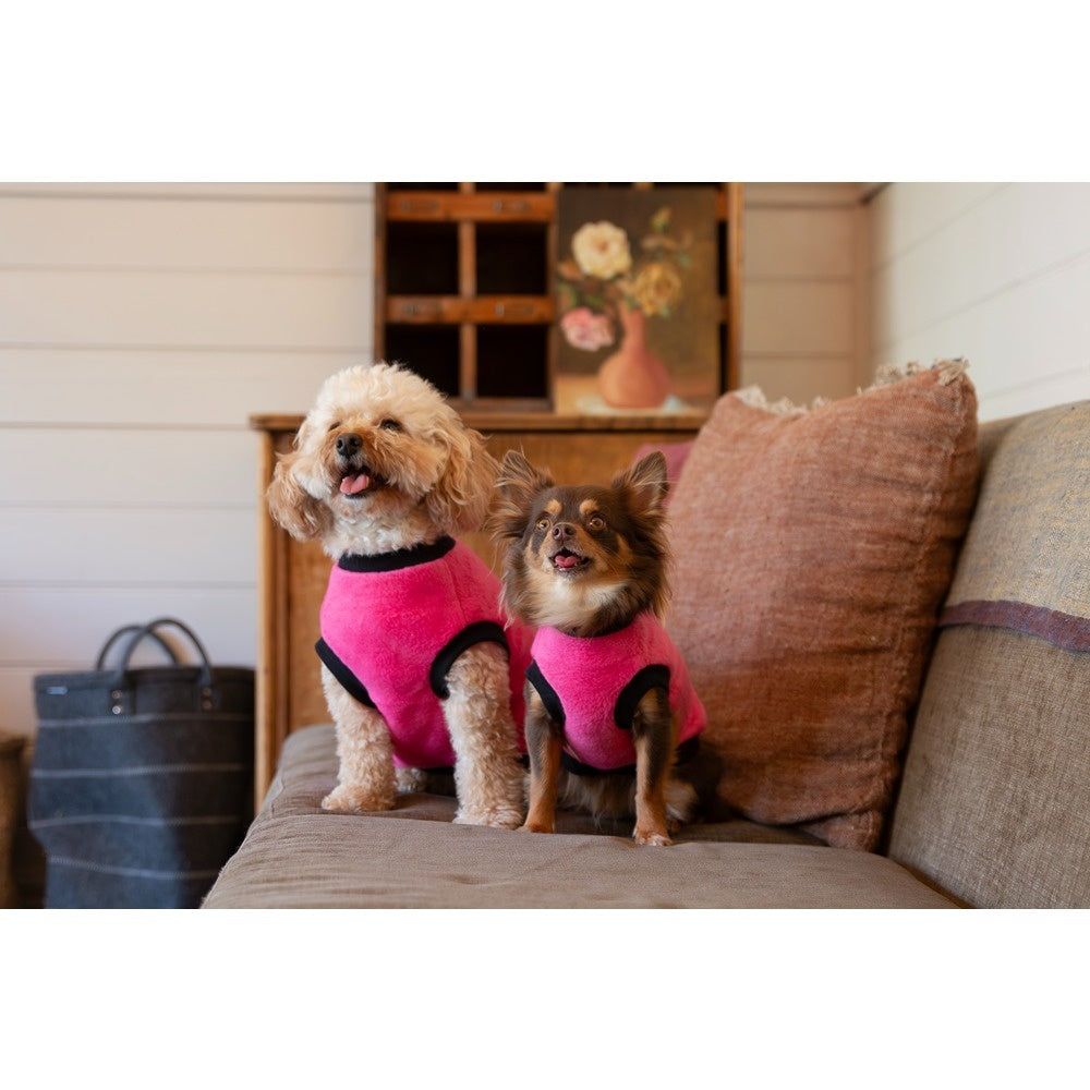 DGG Warmie Dog Jumper Fuschia