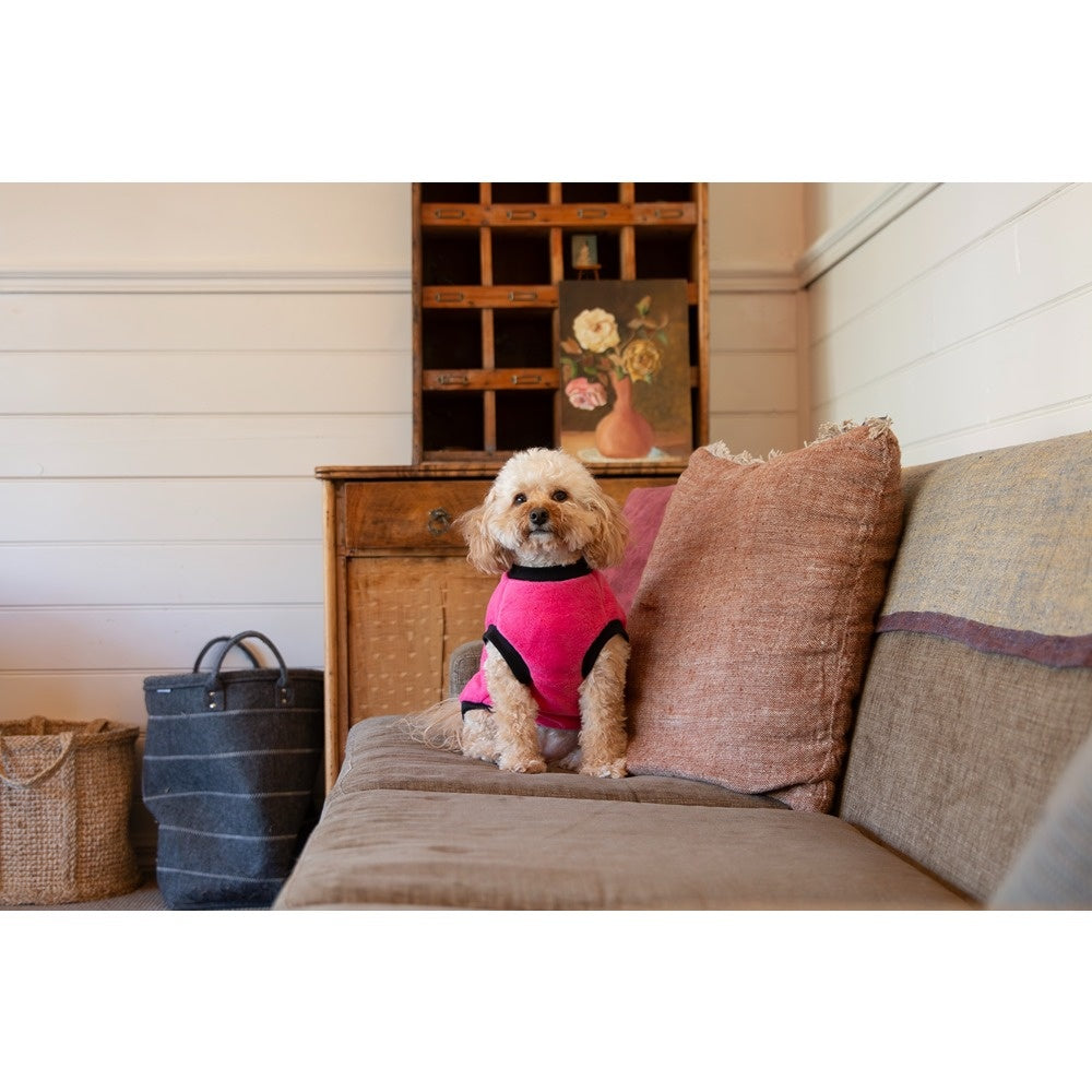 DGG Warmie Dog Jumper Fuschia