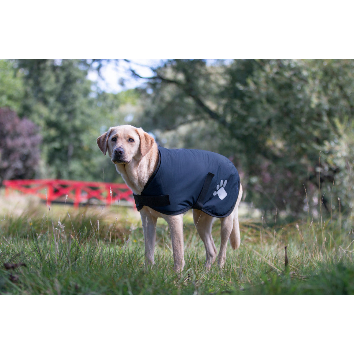 Ruff N Rugged Utility Coat Navy