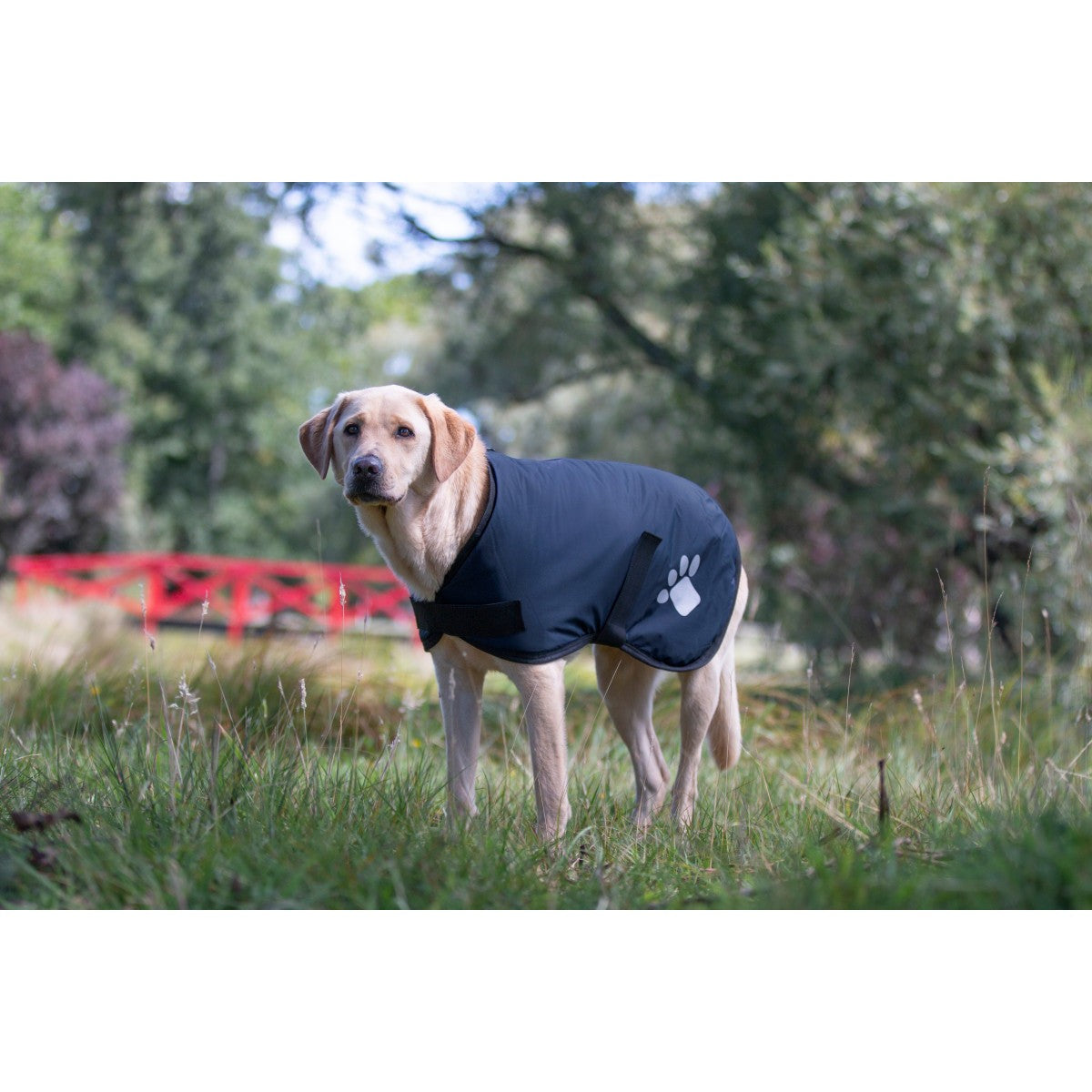 Ruff n Rugged Utility Dog Coat Navy