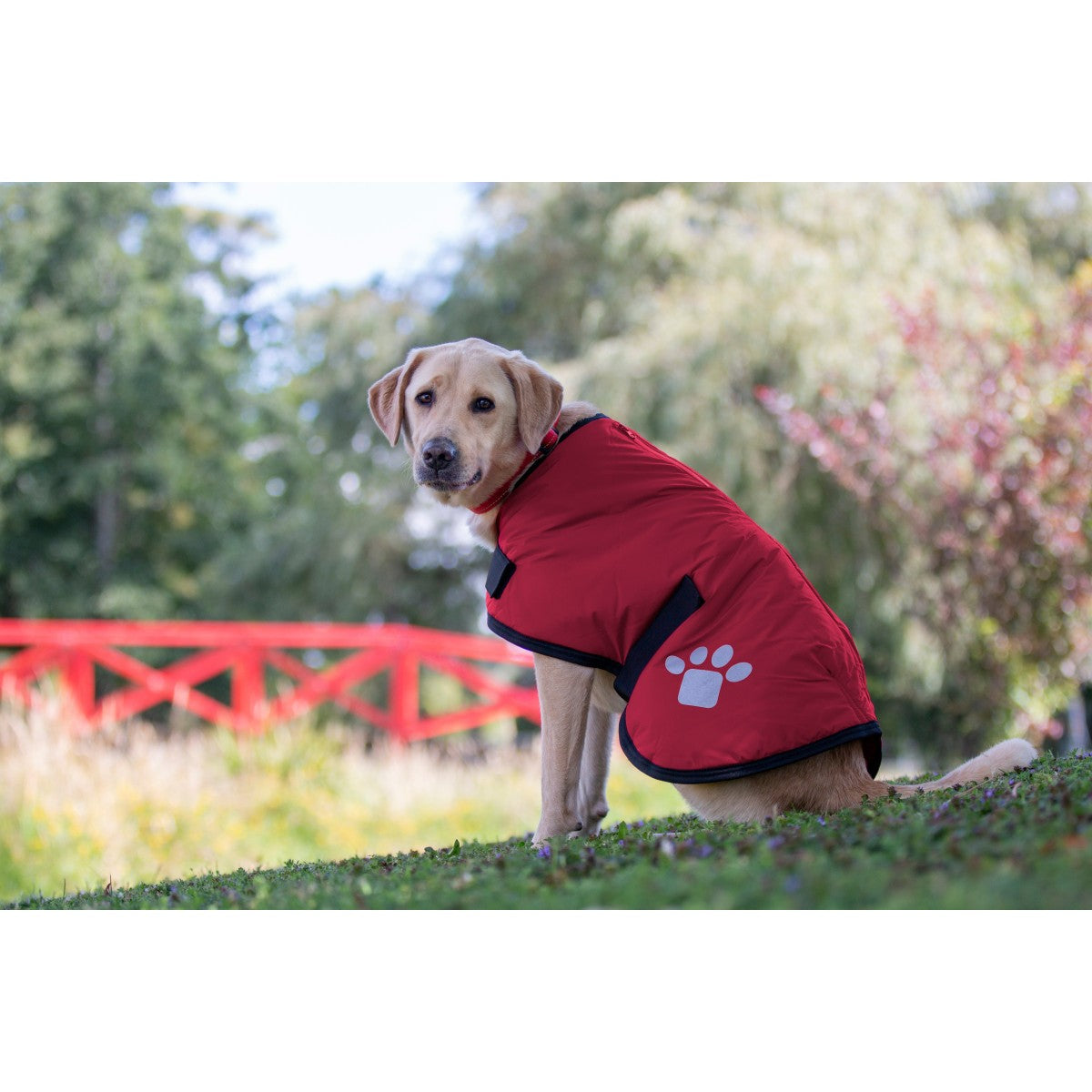 Ruff n Rugged Utility Dog Coat Red