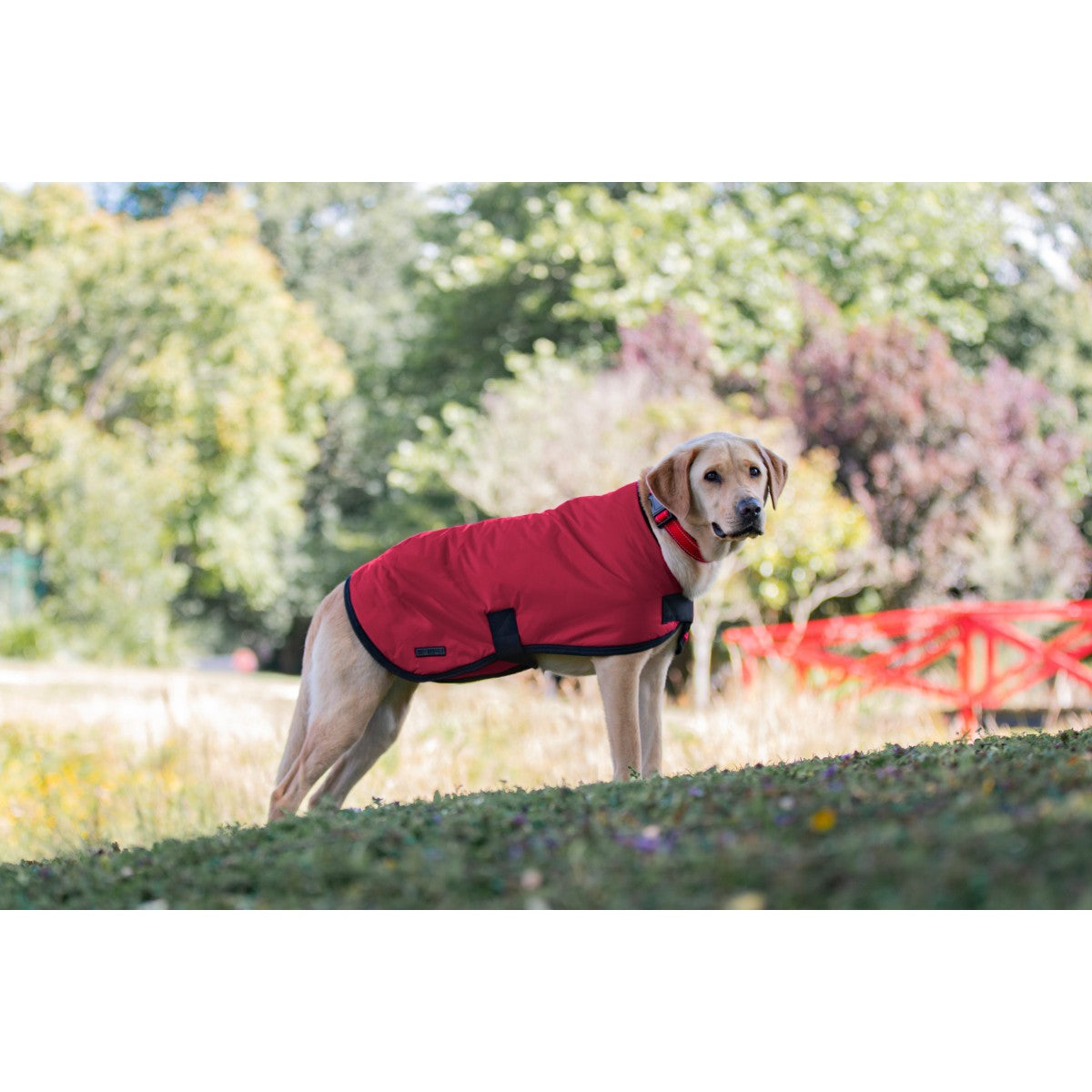 Ruff n Rugged Utility Dog Coat Red