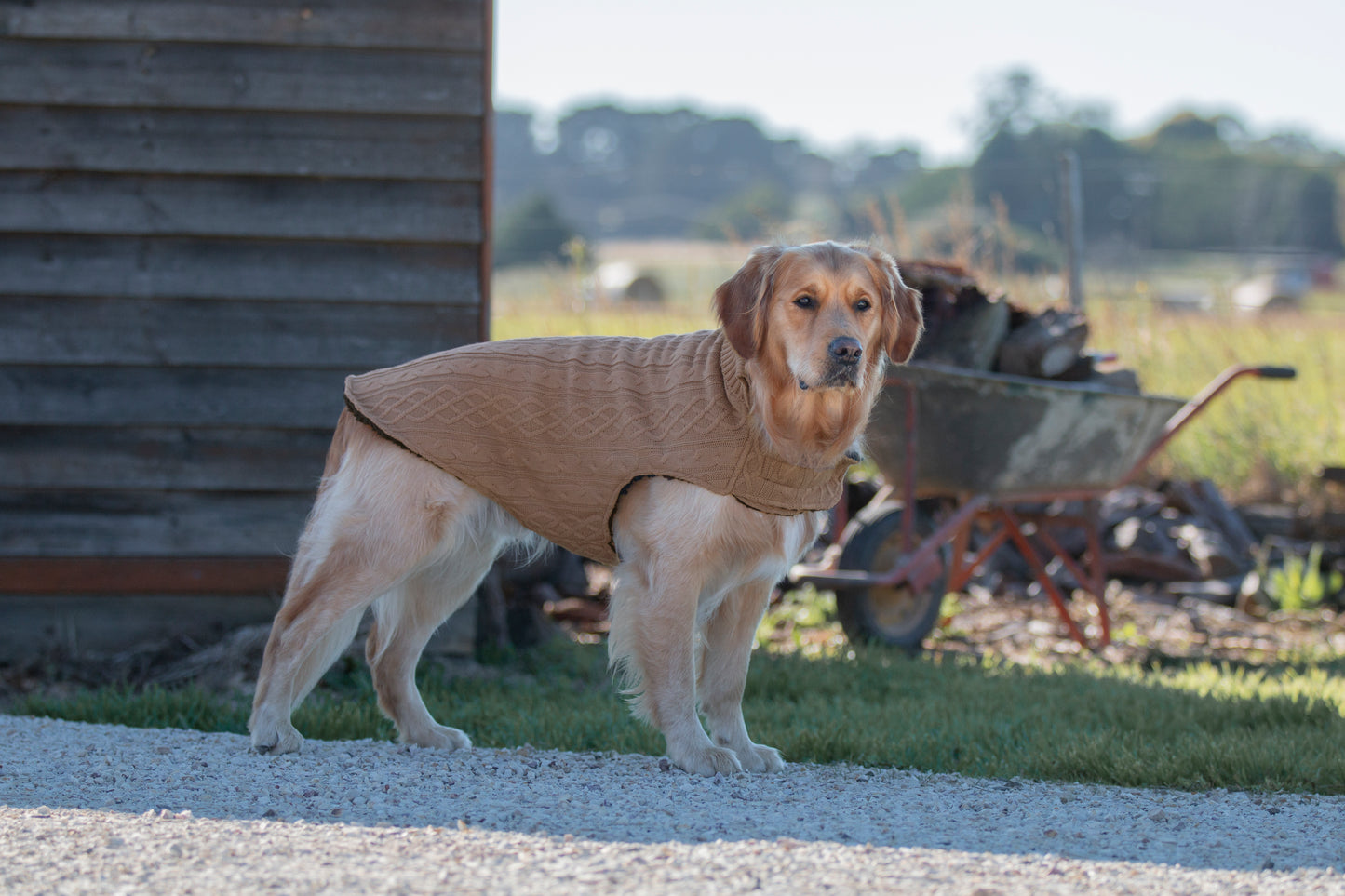 Ruff N Rugged Woolly Knit Caramel