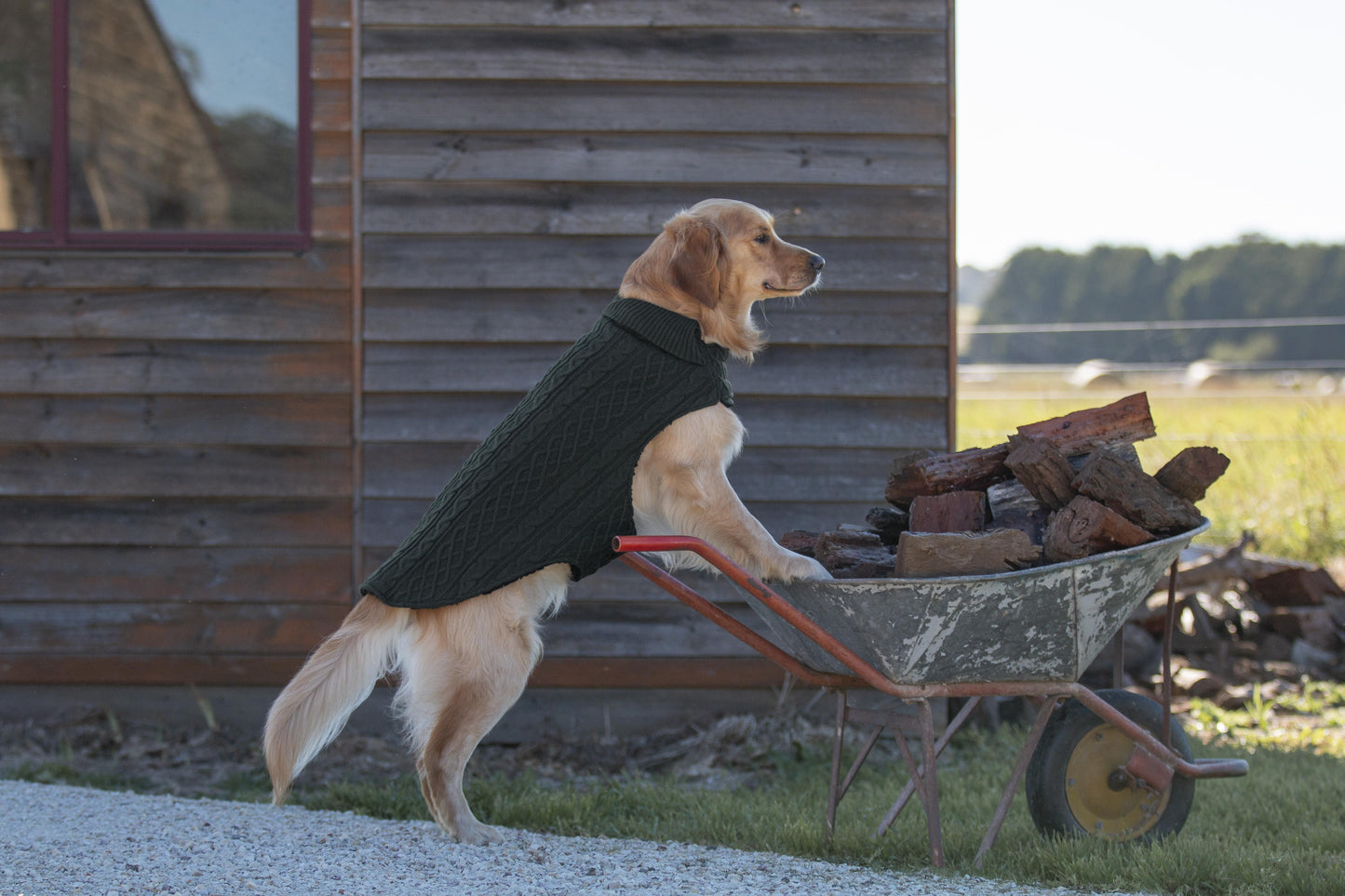 Ruff n Rugged The Woolly Dog Jumper Dark Green