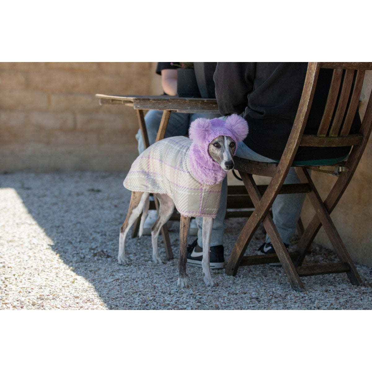 Wriggley Diggley Dog Slumber Jacket Lilac