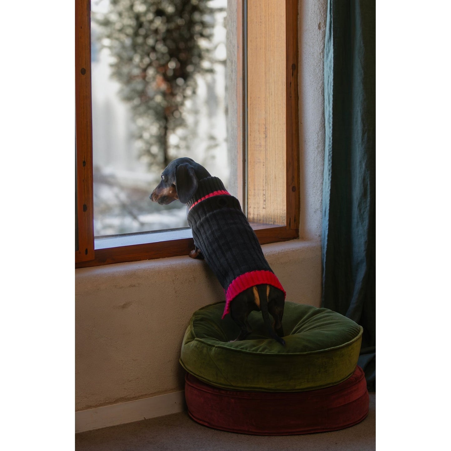 Wriggley Diggley Dog Knitwear Black Raspberry