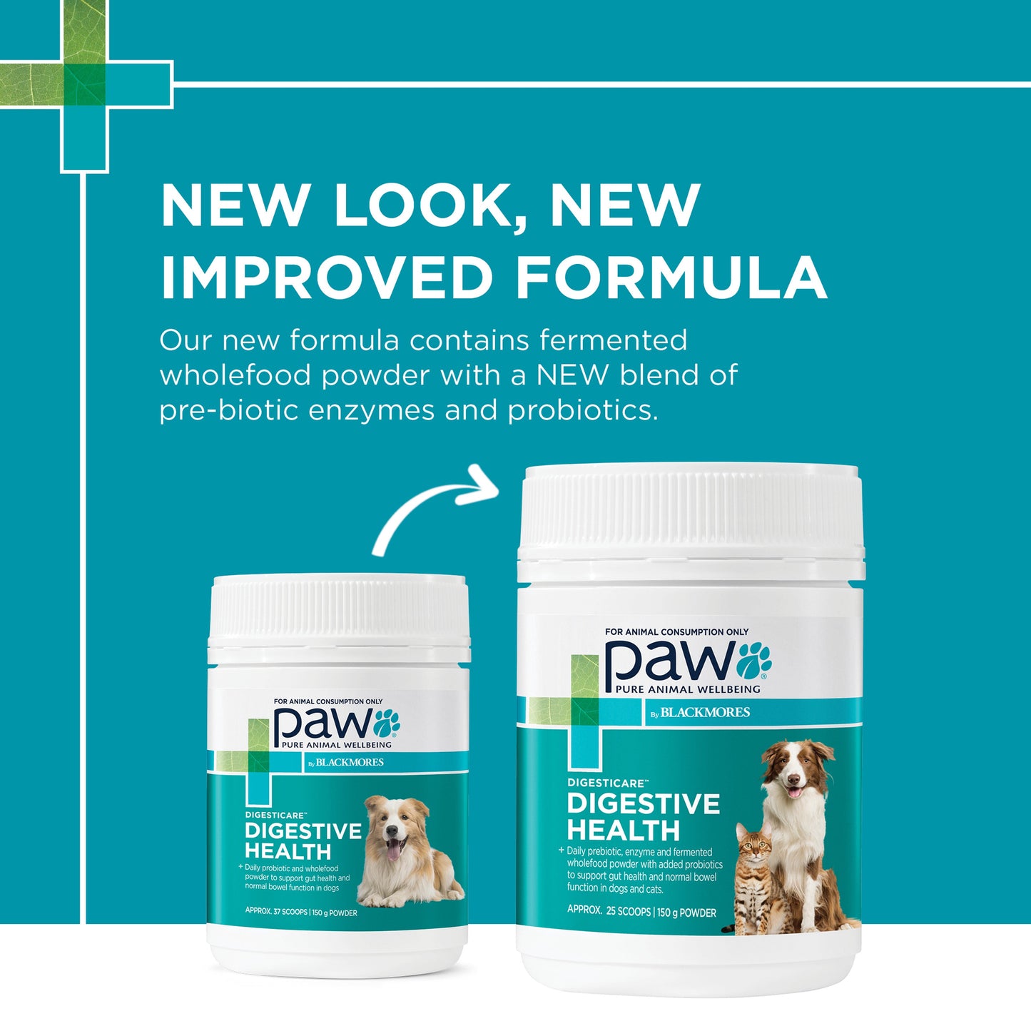 PAW Digesticare for Dogs and Cats
