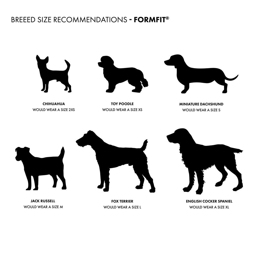 EzyDog FormFit Mesh Dog Harness