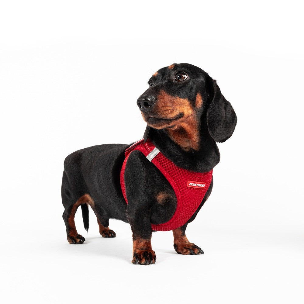 EzyDog FormFit Mesh Dog Harness