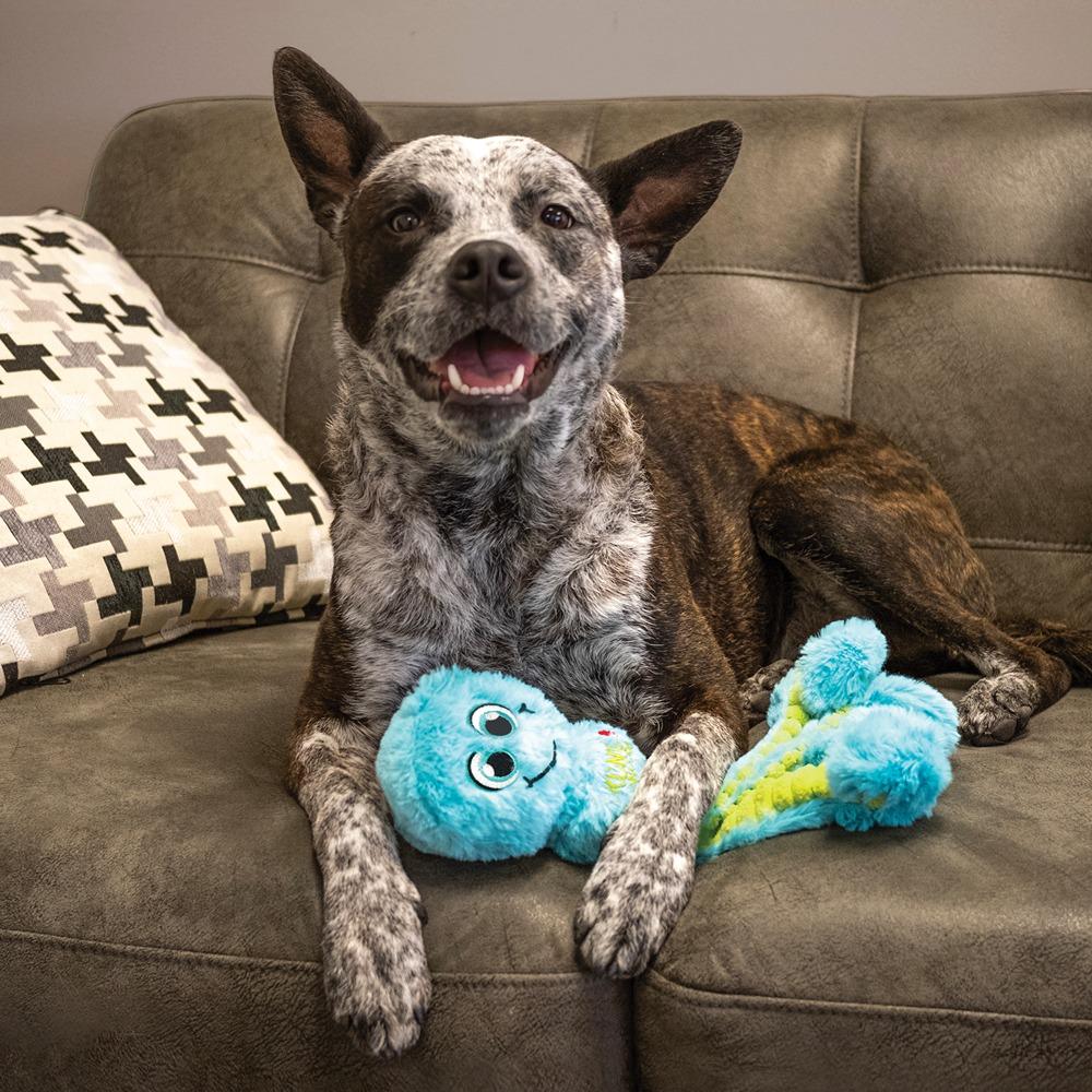 Kong Wubba Octopus Dog Toy