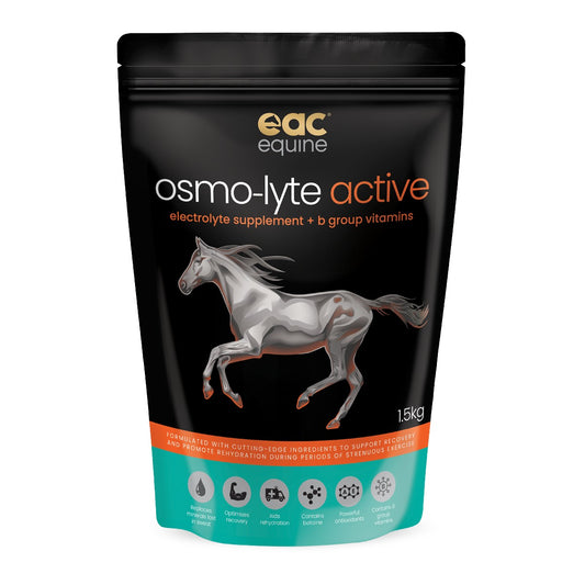 Evolution Osmo Lyte Active Electrolyte & B Vitamin Horse Supplement