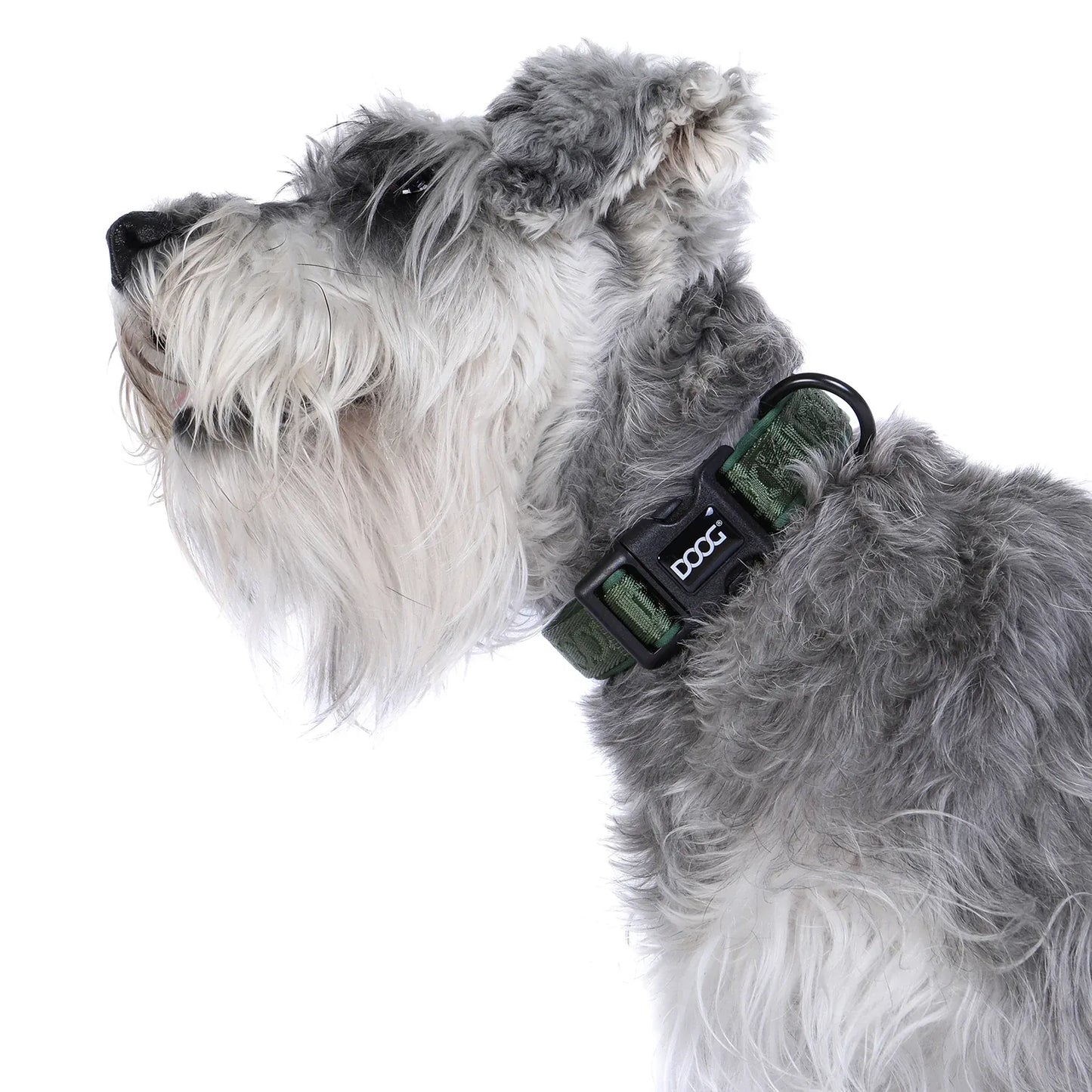 DOOG Neosport Neoprene Dog Collar