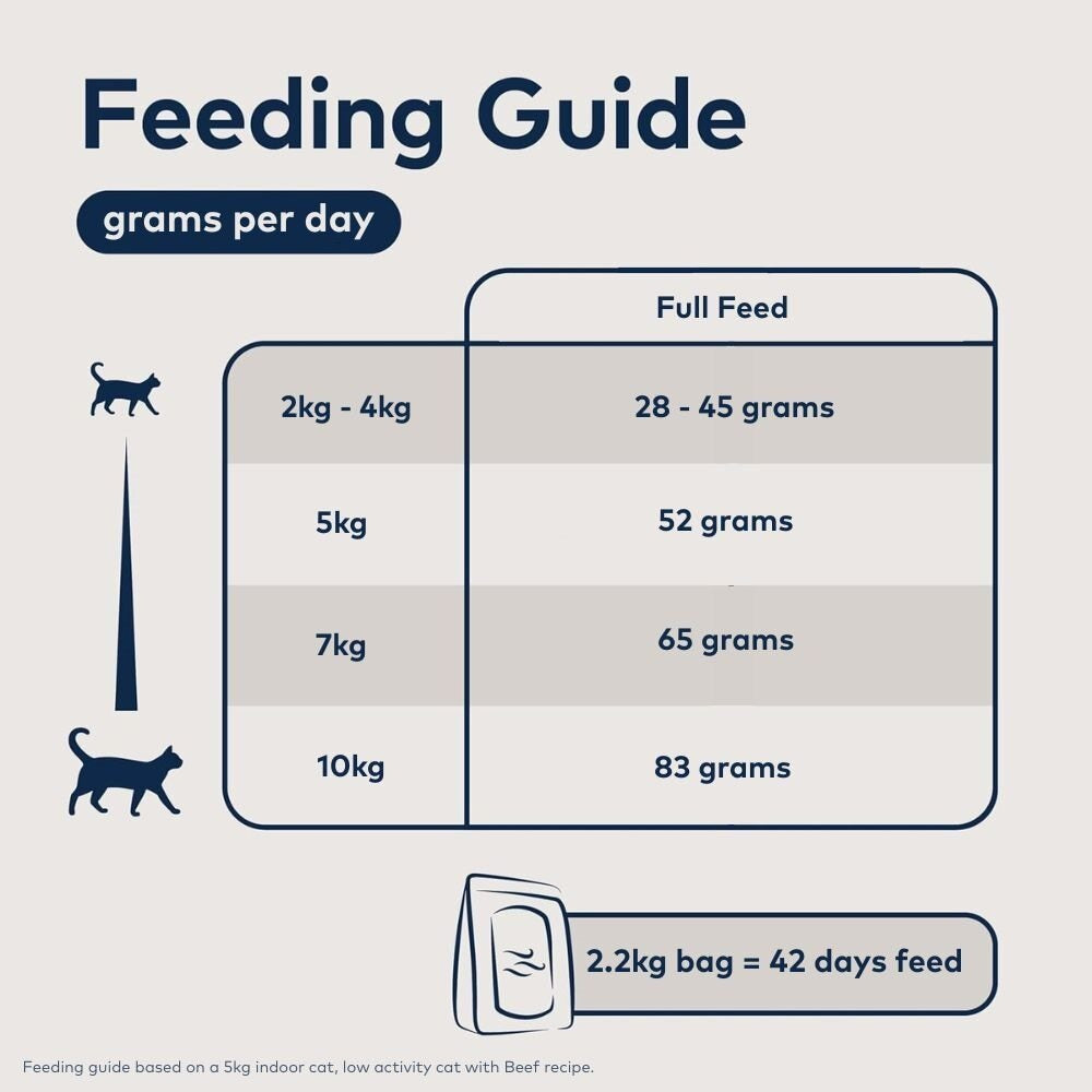 Ziwi Peak Steam & Dried Grass-fed Beef with Southern Blue Whiting Dry Cat Food