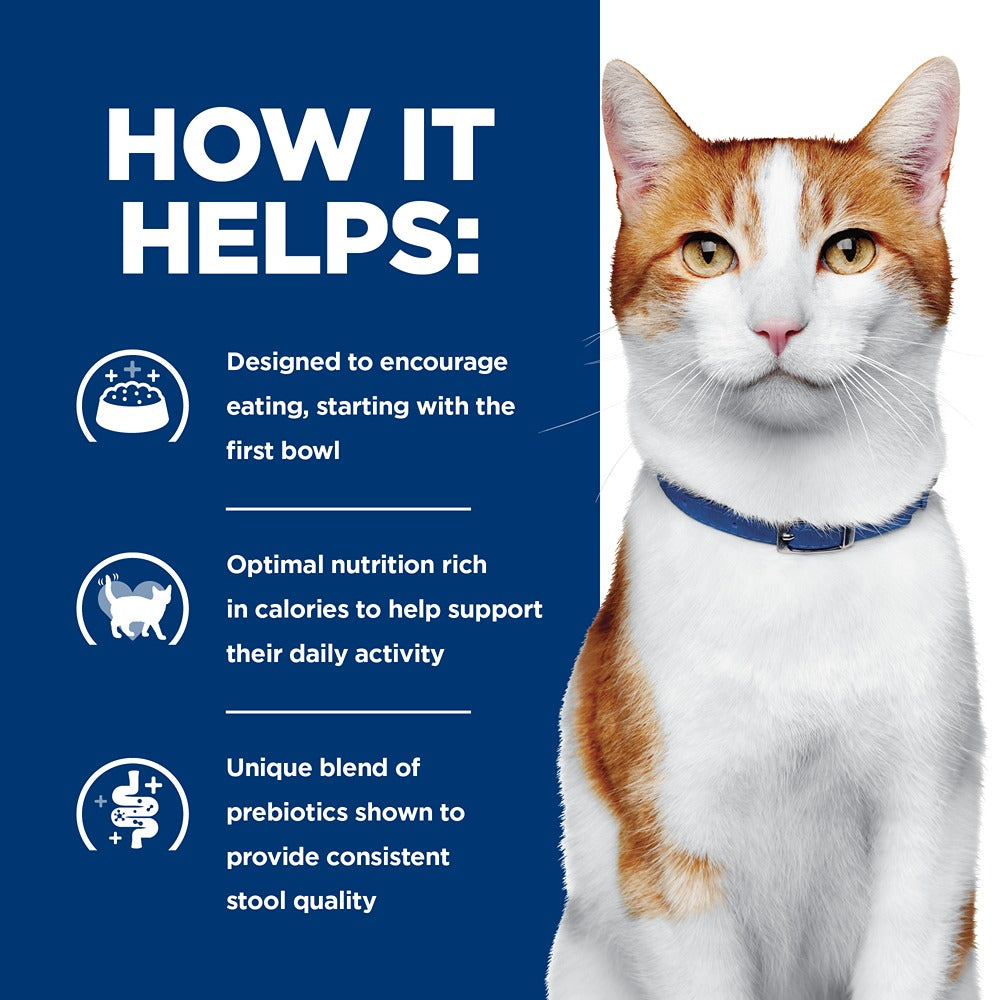 Hill's Prescription Diet ONC Care Chicken & Vegetable Stew Wet Cat Food 82g