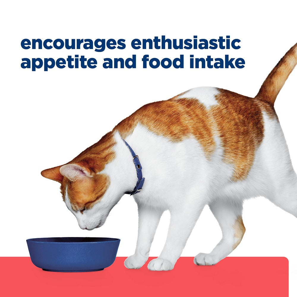 Hill's Prescription Diet ONC Care Chicken & Vegetable Stew Wet Cat Food 82g