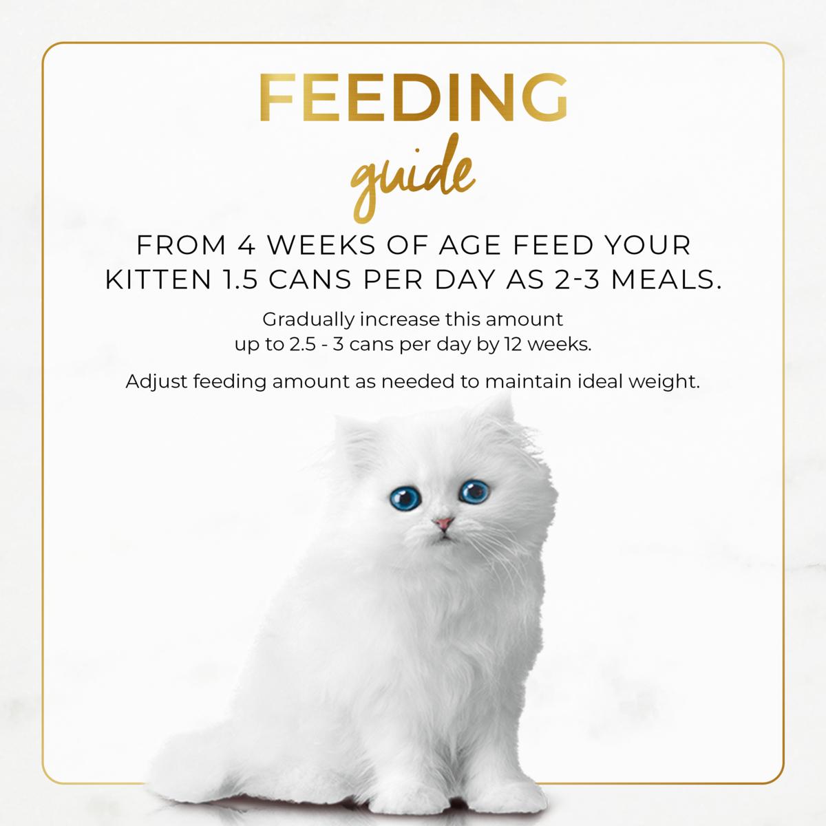 Fancy Feast Classic Pate Kitten Tender Chicken Feast Wet Cat Food 85g
