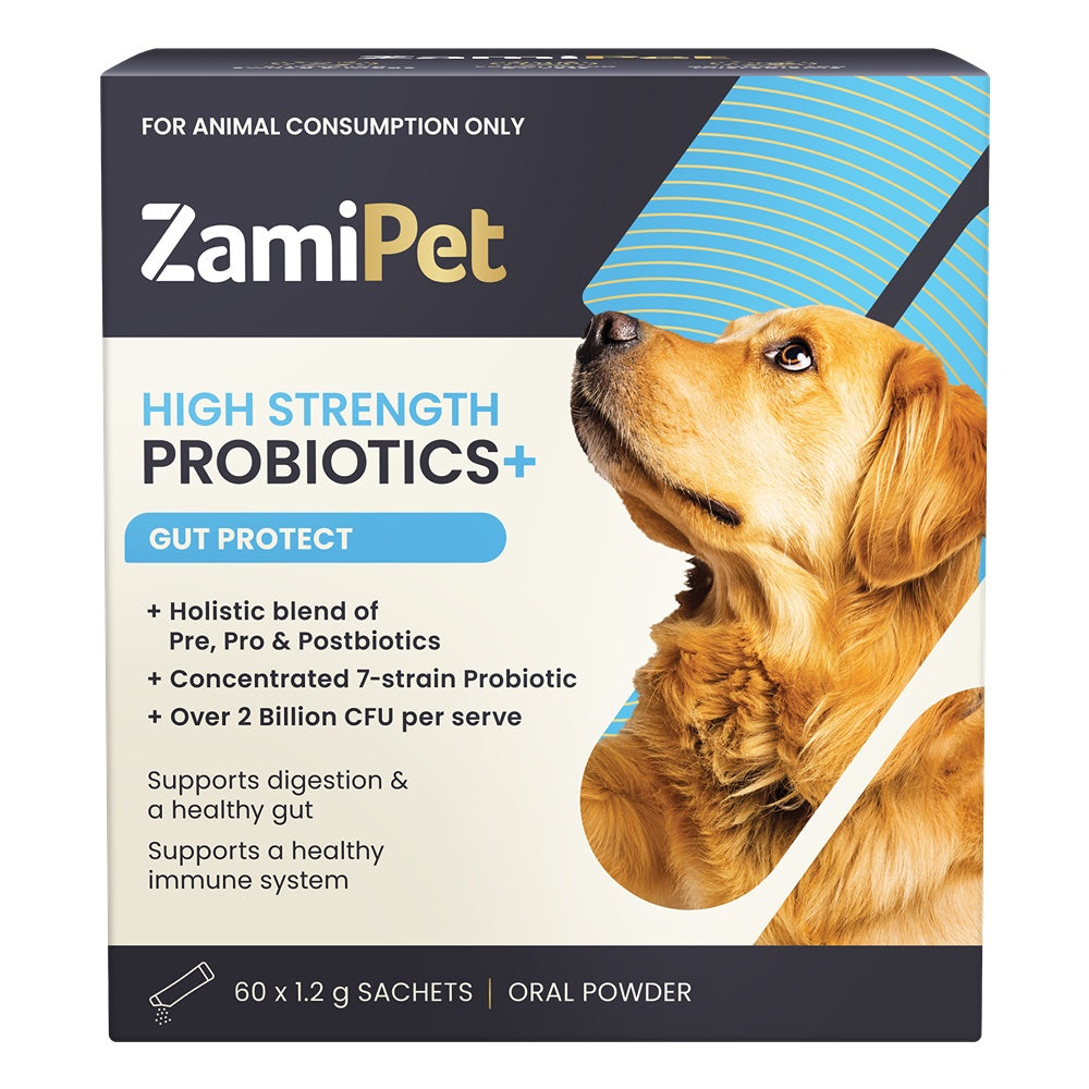 ZamiPet High Strength Probiotics+ Gut Protect Dog Supplement